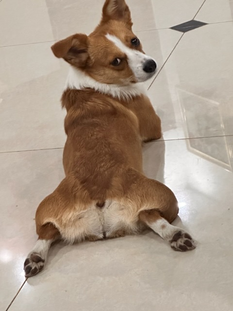 cc